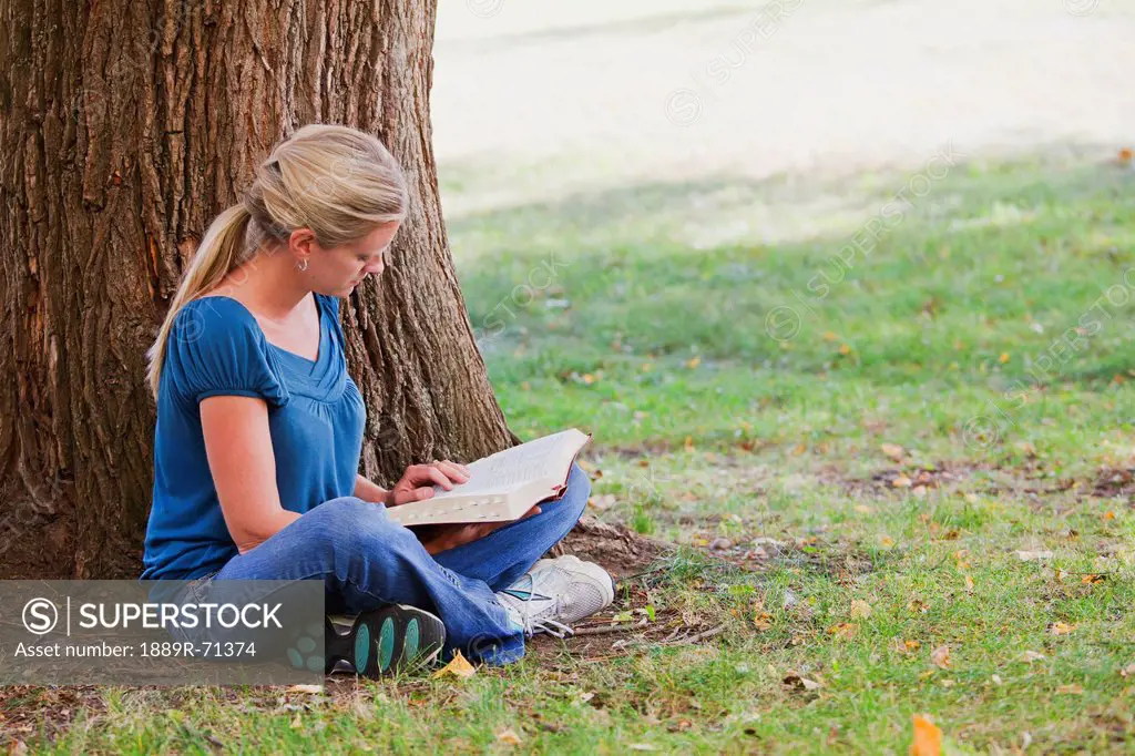 woman reading her bible in the park beside a tree, edmonton alberta canada