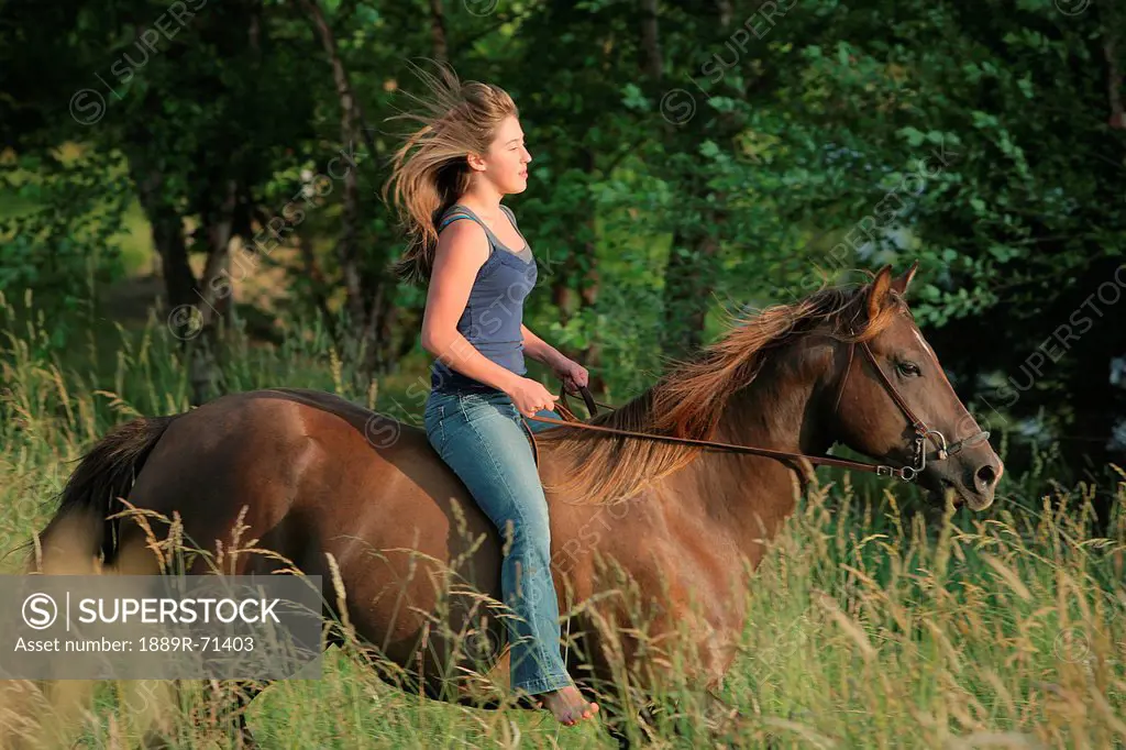 girl riding a horse bareback, troutdale oregon united states of america