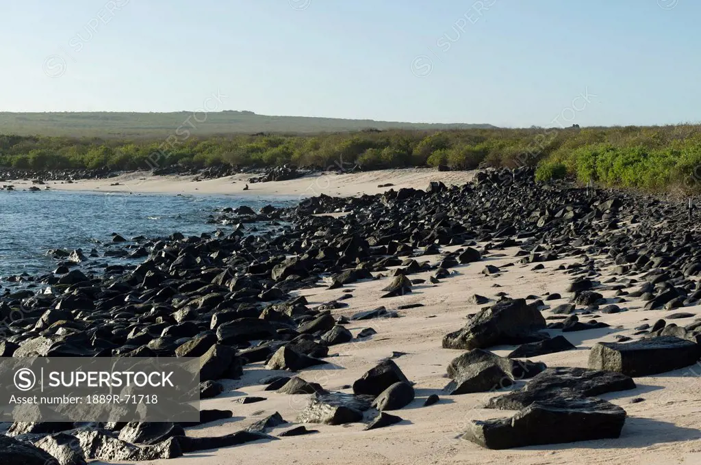 rocks on the beach along the coast, galapagos, equador