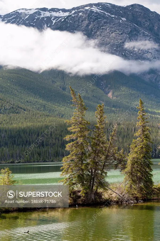 a lake and the rocky mountains, jasper, alberta, canada