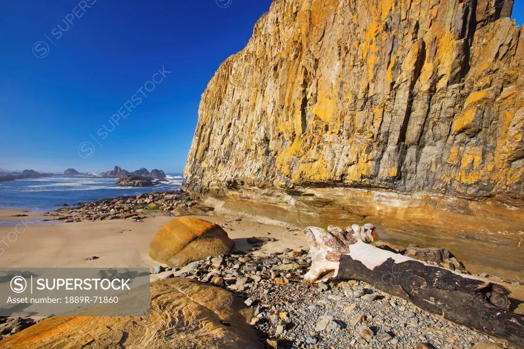 low tide at seal rock state recreation site, oregon united states of america