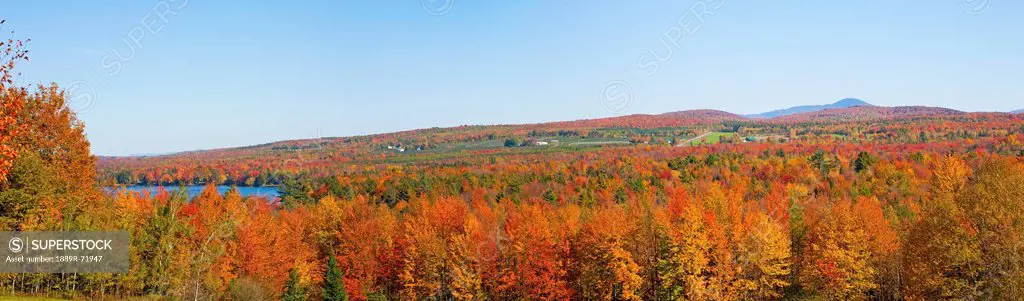 a landscape with autumn colours, selby lake quebec canada