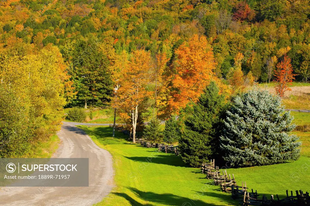country road and a rail fence in autumn, iron hill quebec canada