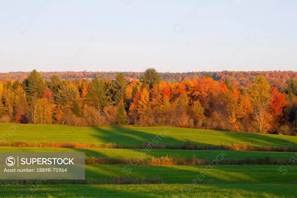 hayfield at sunset, foster quebec canada