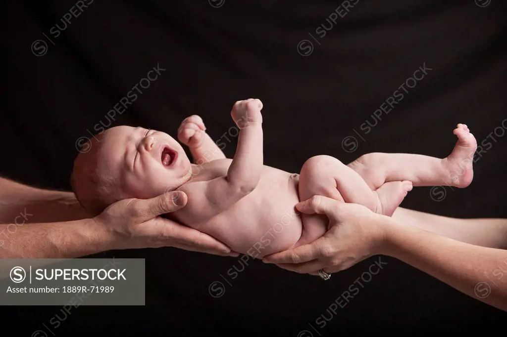 parents hands holding a newborn bare baby, edmonton alberta canada