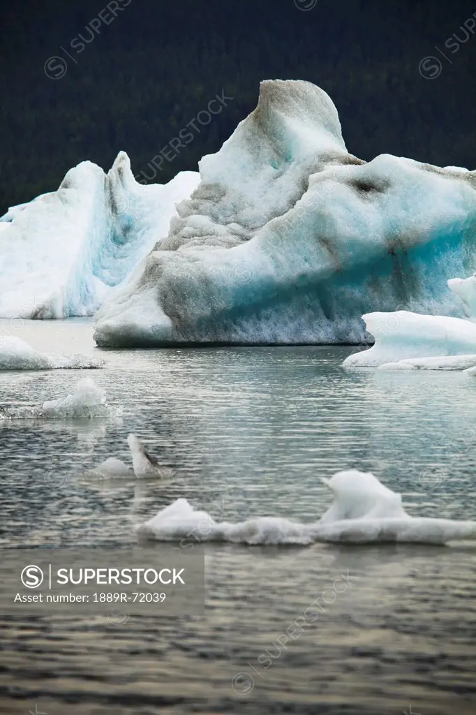 icebergs floating in mendenall bay, juneau alaska united states of america
