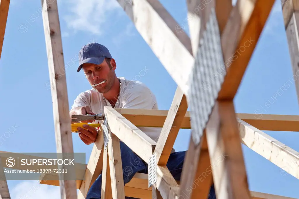 tradesman working on framing for new home construction, st. albert alberta canada