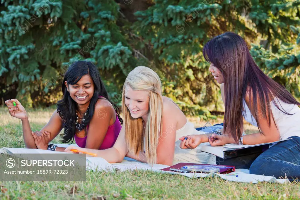 friends doing homework together in a park, edmonton alberta canada