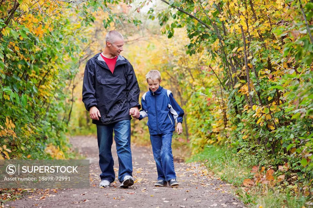Father And Son Walking On A Path In A Park In Autumn, Edmonton Alberta Canada