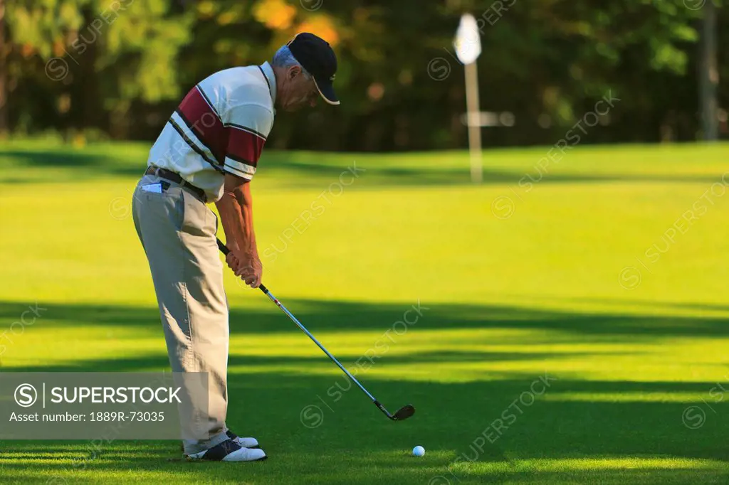 A Man Golfing At Lynnwood Golf Course, Lynnwood Washington United States Of America