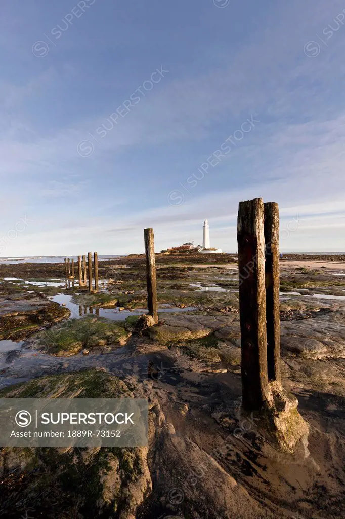 Wooden Posts At The Water´s Edge With A Lighthouse In The Distance At Whitley Bay, Northumberland England