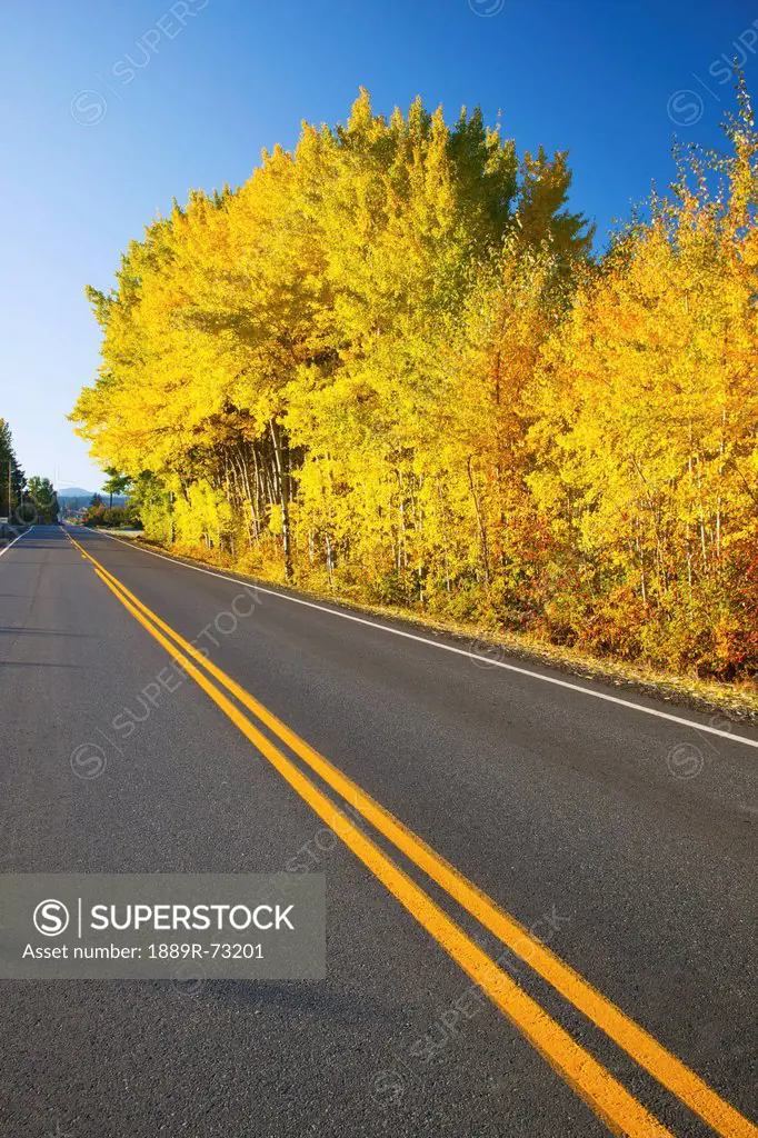 Autumn Colours Along The Road In The Oregon Cascades, Oregon United States Of America
