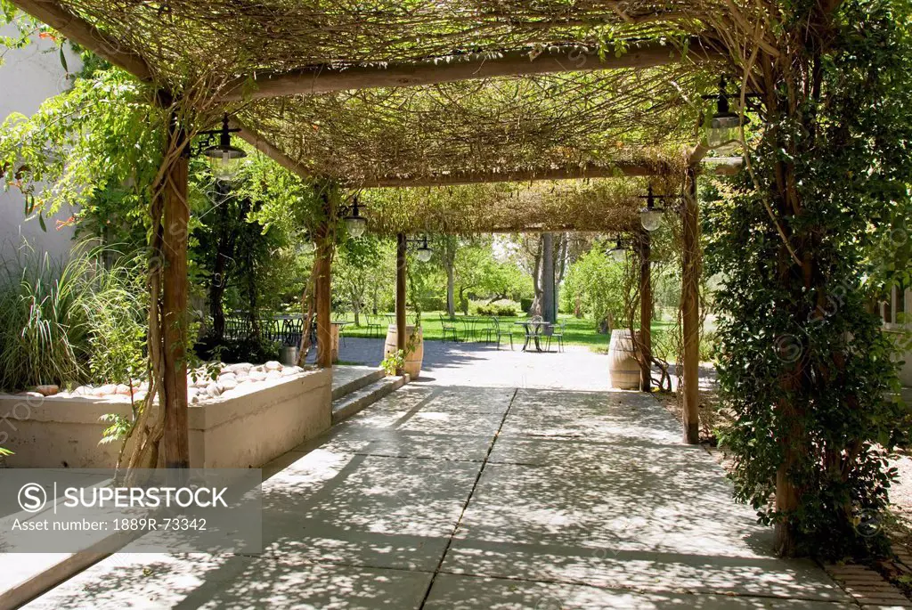 Alley Covered With Vines Opening To A Garden, Mendoza Argentina