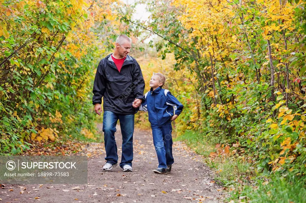 Father And Son Walking On A Path In A Park In Autumn, Edmonton Alberta Canada