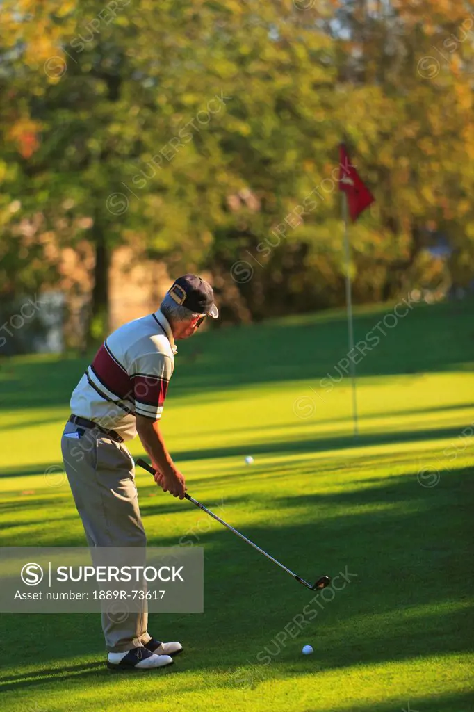 A Man Golfing At Lynnwood Golf Course, Lynnwood Washington United States Of America