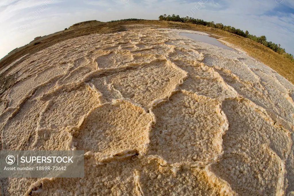 Dried Salt Deposits From A Dried Up Water Source On The Outskirts Of Siwa At The Siwa Oasis, Siwa Egypt