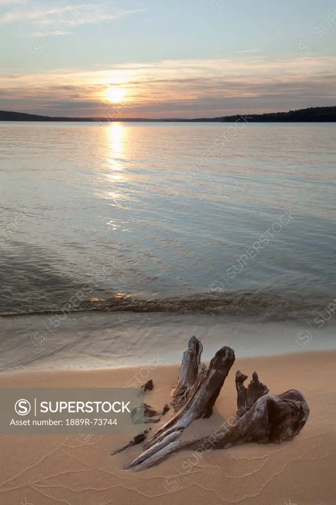 Driftwood On A Beach Of Lake Superior Near Marquette, Michigan United States Of America