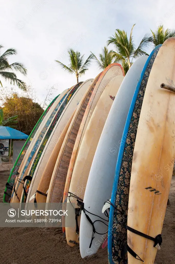 Surfboards standing up against a rack on the beach, sayulita mexico
