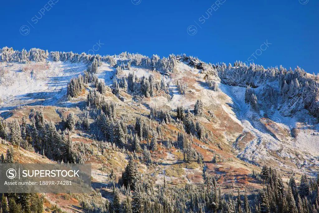 Fresh Snow On Autumn Colours In Mount Rainier National Park, Washington United States Of America