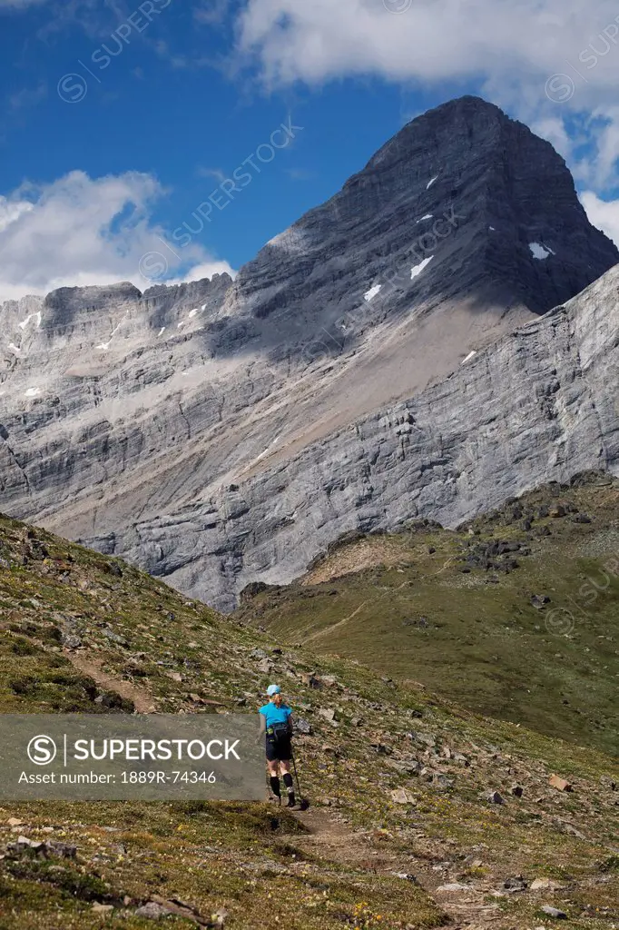 Female Hiker In The Distance On A Mountain Trail With Mountain Peak In The Background And Blue Sky With Clouds, Alberta Canada
