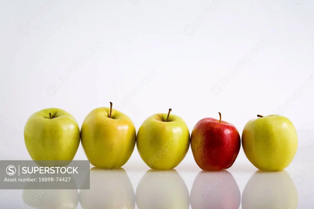 Four yellow apples with one red apple in a row on a reflective surface, calgary alberta canada