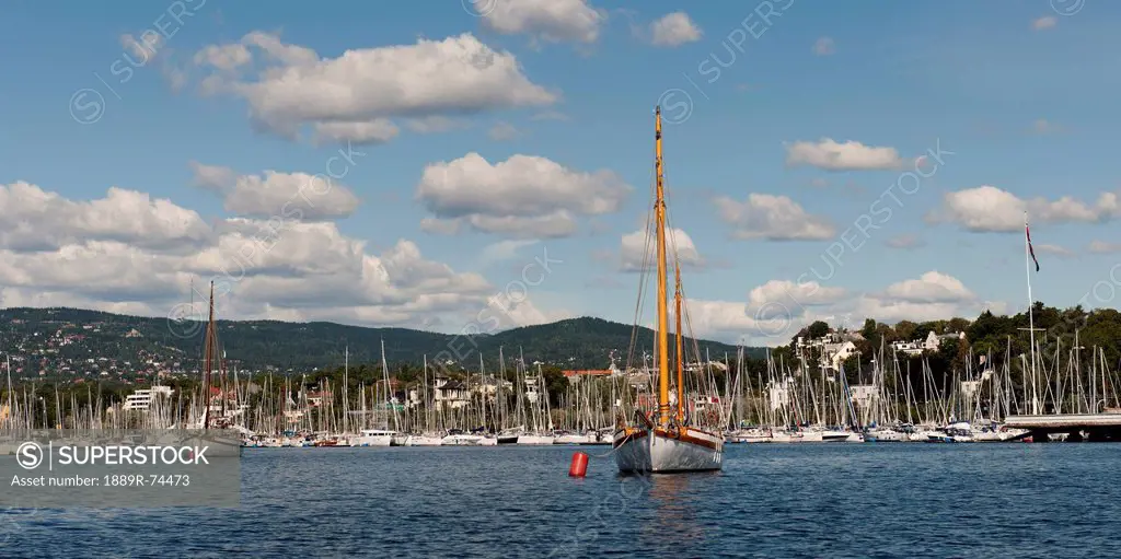 Sailboats in the harbour, oslo norway