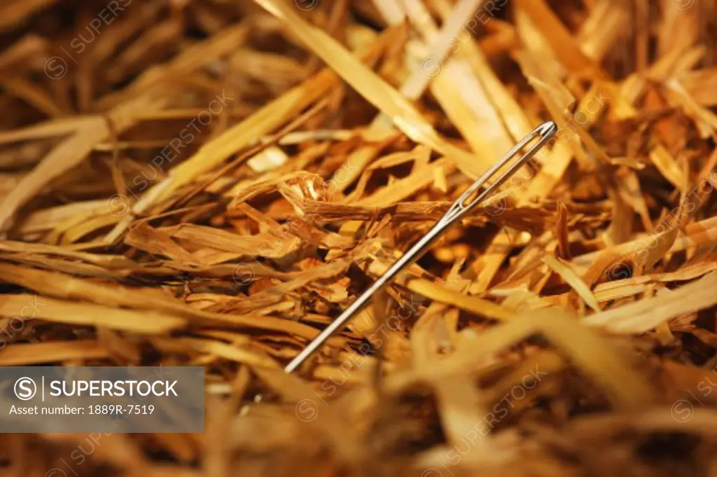 Needle in a hay stack