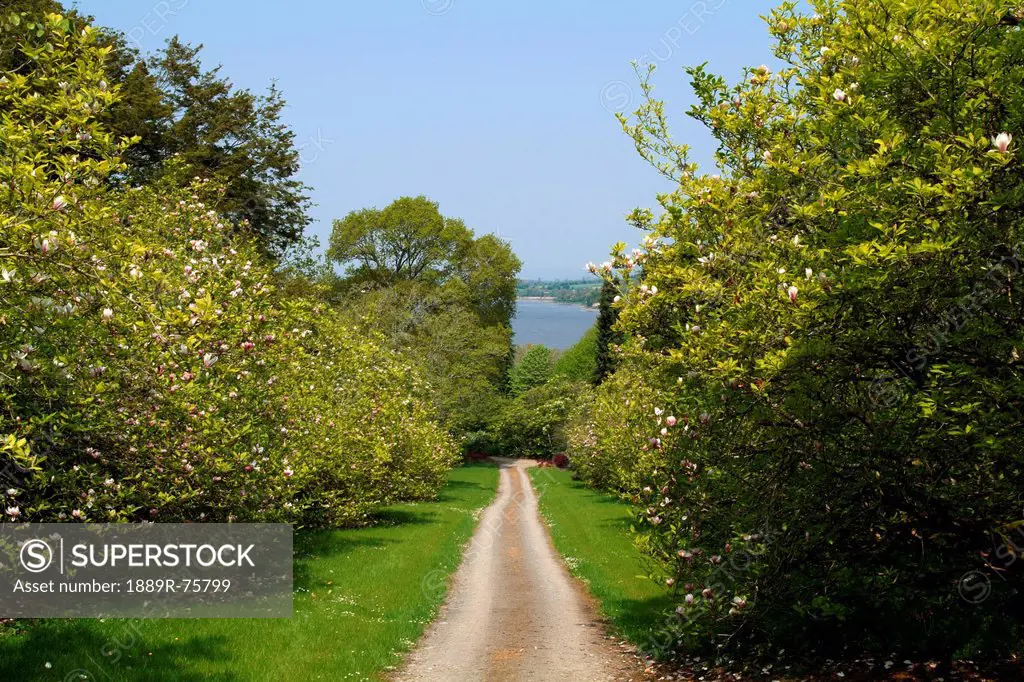 A Dirt Road Lined With Trees At Mount Congreve House And Gardens, County Waterford Ireland