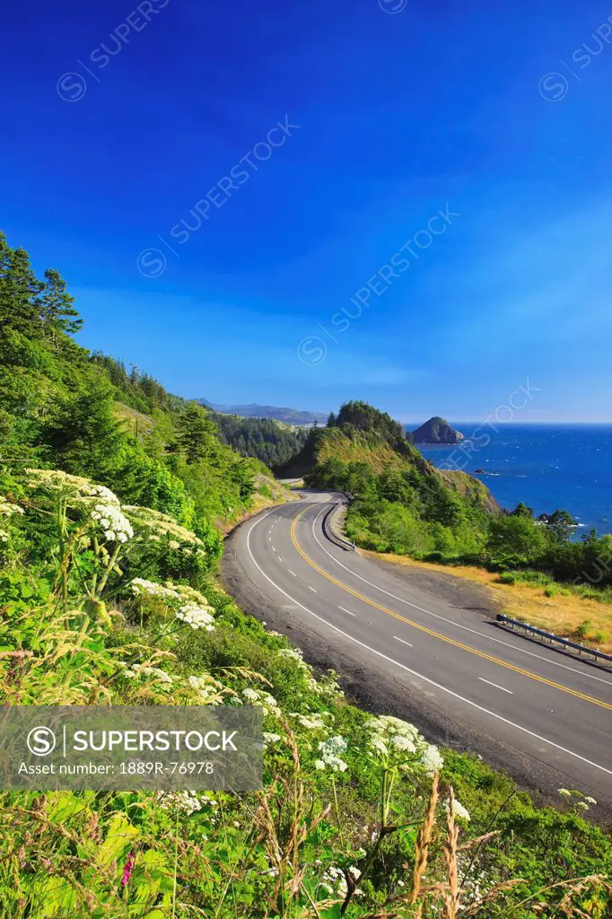 Wildflowers And Afternoon Light Add Beauty To The Highway And Rock Formations At Humbug Mountain State Park, Oregon United States Of America