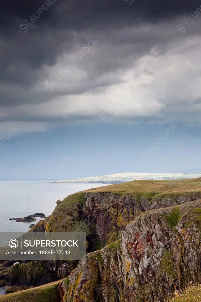 Rock Ledge Along The Coast, St. Abb´s Head Scottish Borders Scotland