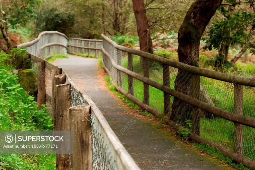 A Wooden Rail Fence Along A Path, Ireland