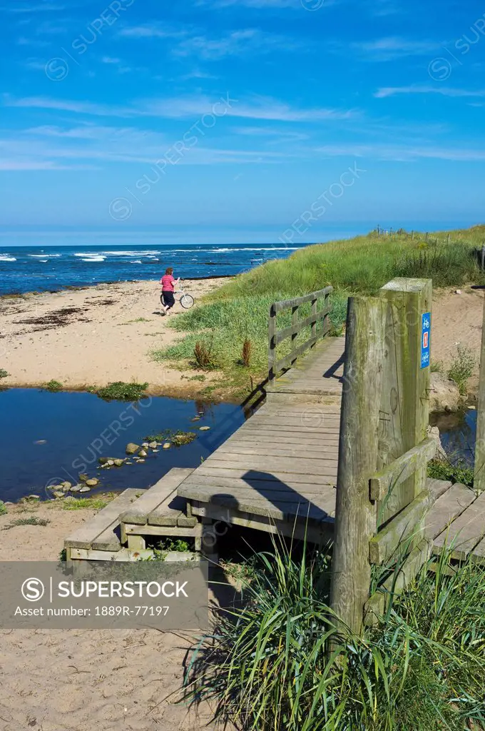 A Woman Walks On The Beach Along The Coast, Northumberland England