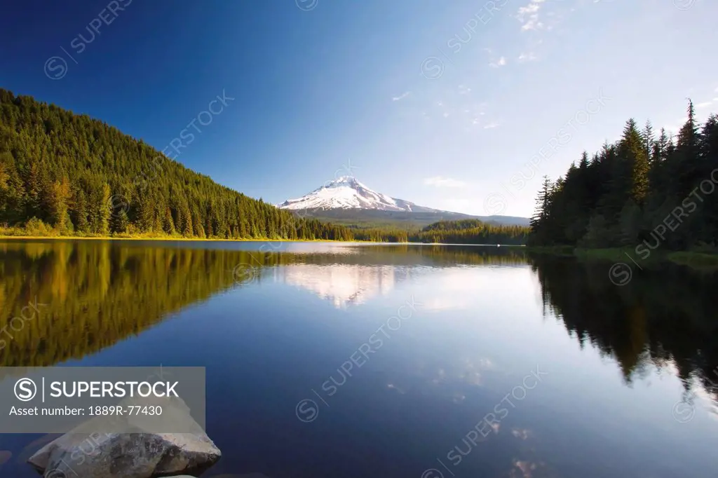Reflection Of Mount Hood In Trillium Lake In The Oregon Cascades, Oregon United States Of America