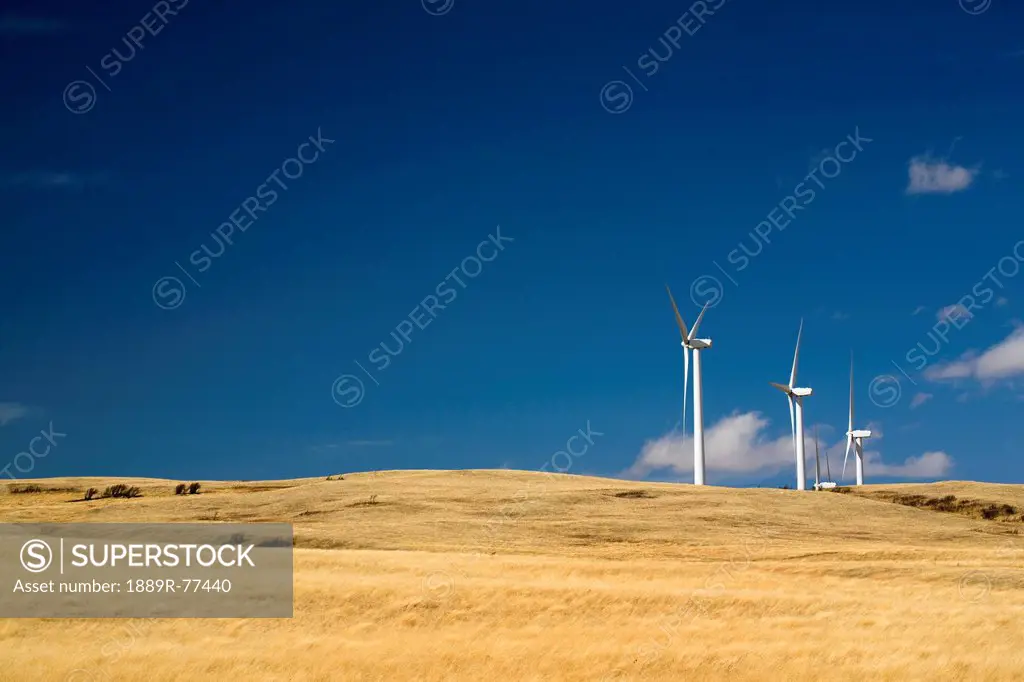 Large wind mills on grassy hill ridge with blue sky and clouds, pincher creek alberta canada