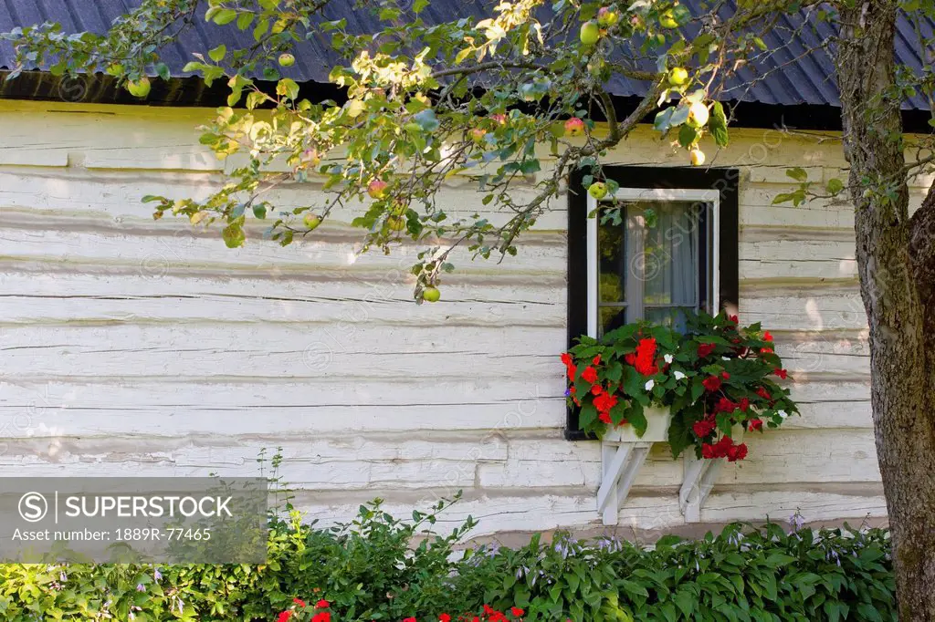 log home and flower box in the window, iron hill, quebec, canada