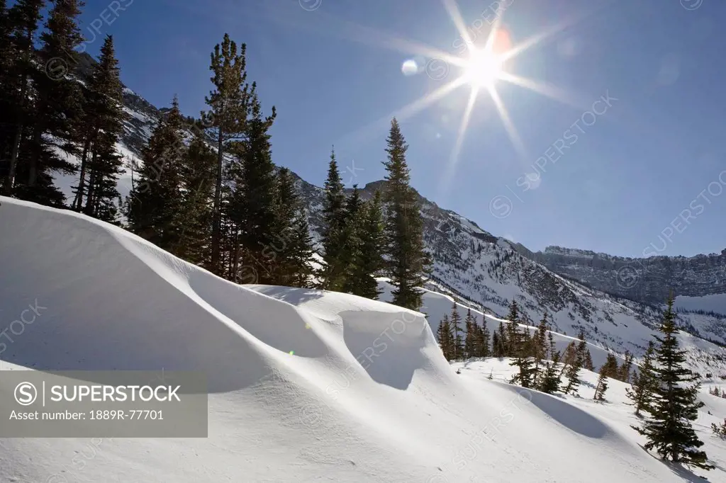 Large snow drift in mountain bowl with sun burst and blue sky, waterton alberta canada