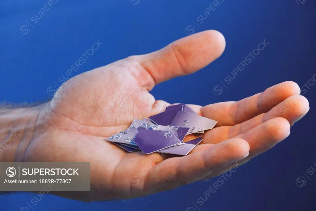 Pieces Of Cut Up Credit Card Resting In A Man´s Hand, Torremolinos Malaga Andalusia Spain