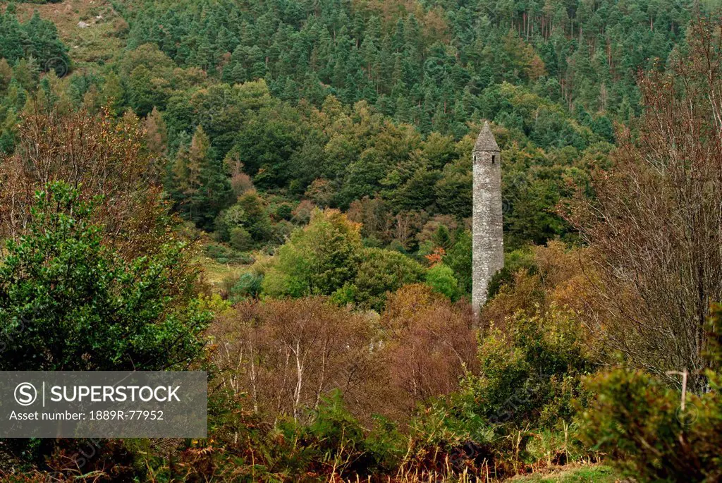 Round Tower In A Forest, Ireland
