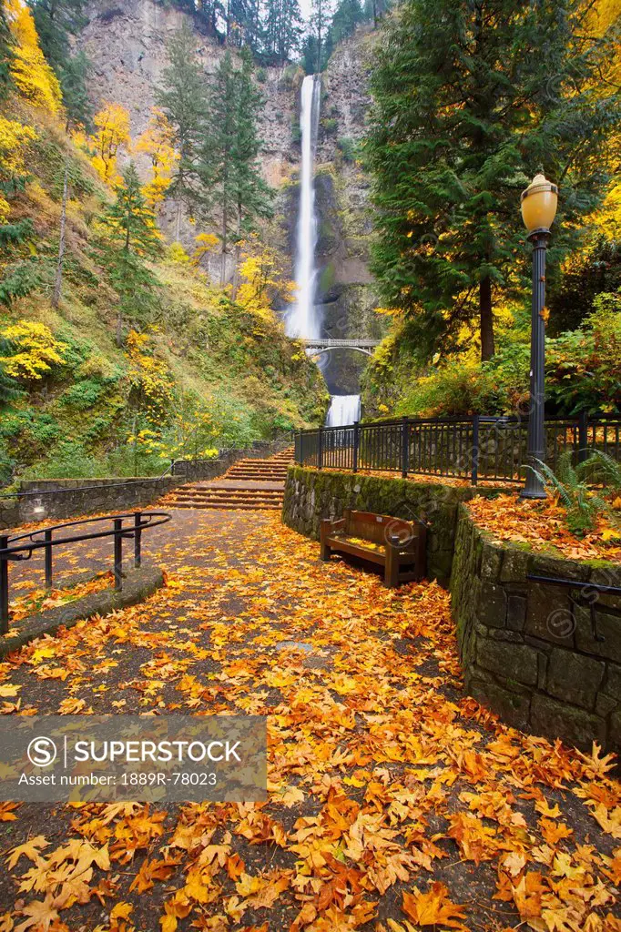 Autumn colours at multnomah falls columbia river gorge national scenic area, oregon united states of america