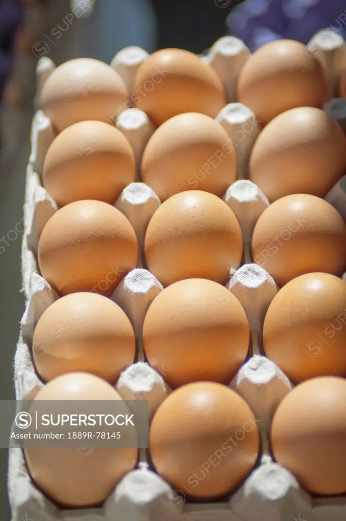 Eggs In A Carton, Berkeley California United States Of America