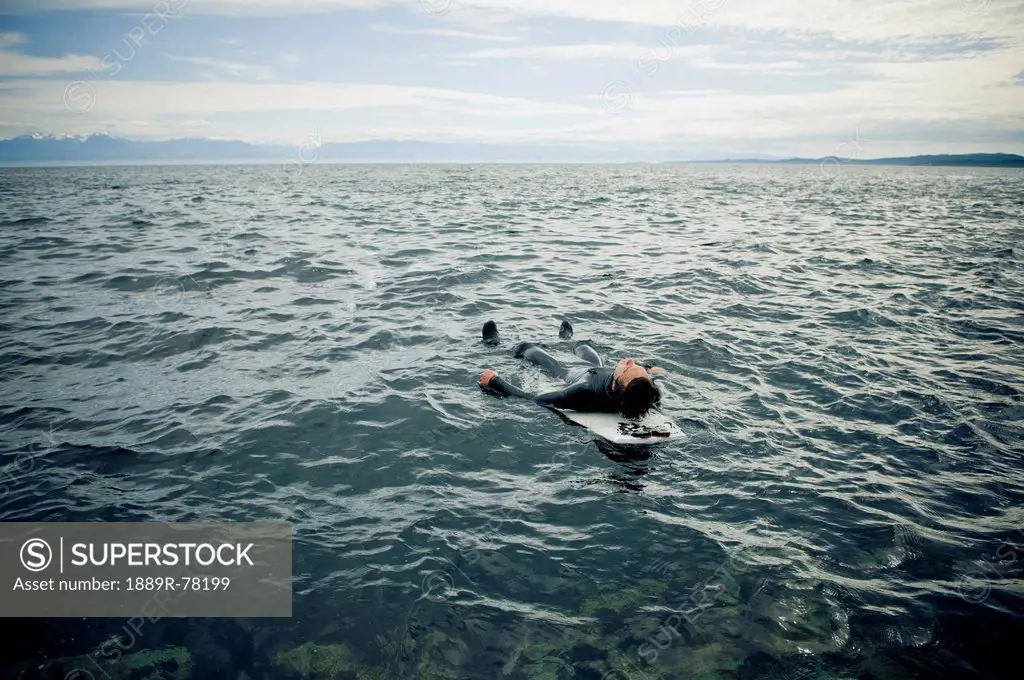 A surfer lays on his back on his surfboard in the water, victoria british columbia canada