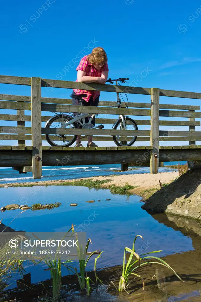 A Woman Stands With Her Bicycle On A Wooden Bridge Looking Down Into The Water, Northumberland England