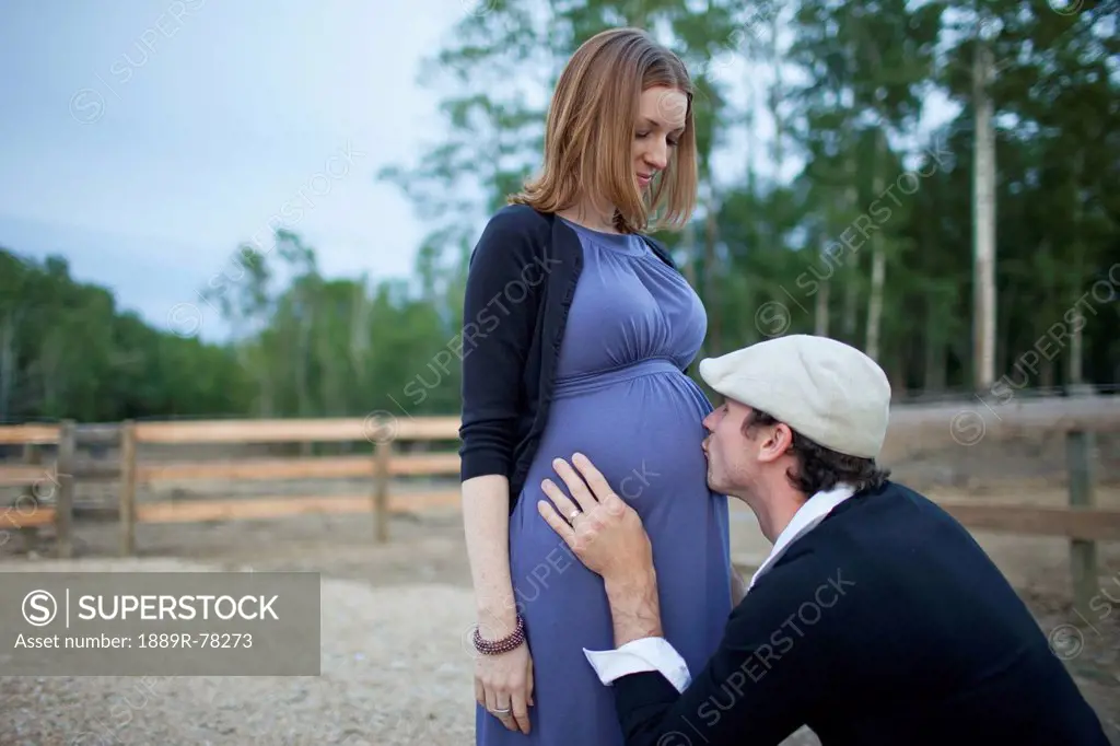 A husband kissing his wife´s pregnant belly, sherwood park alberta canada