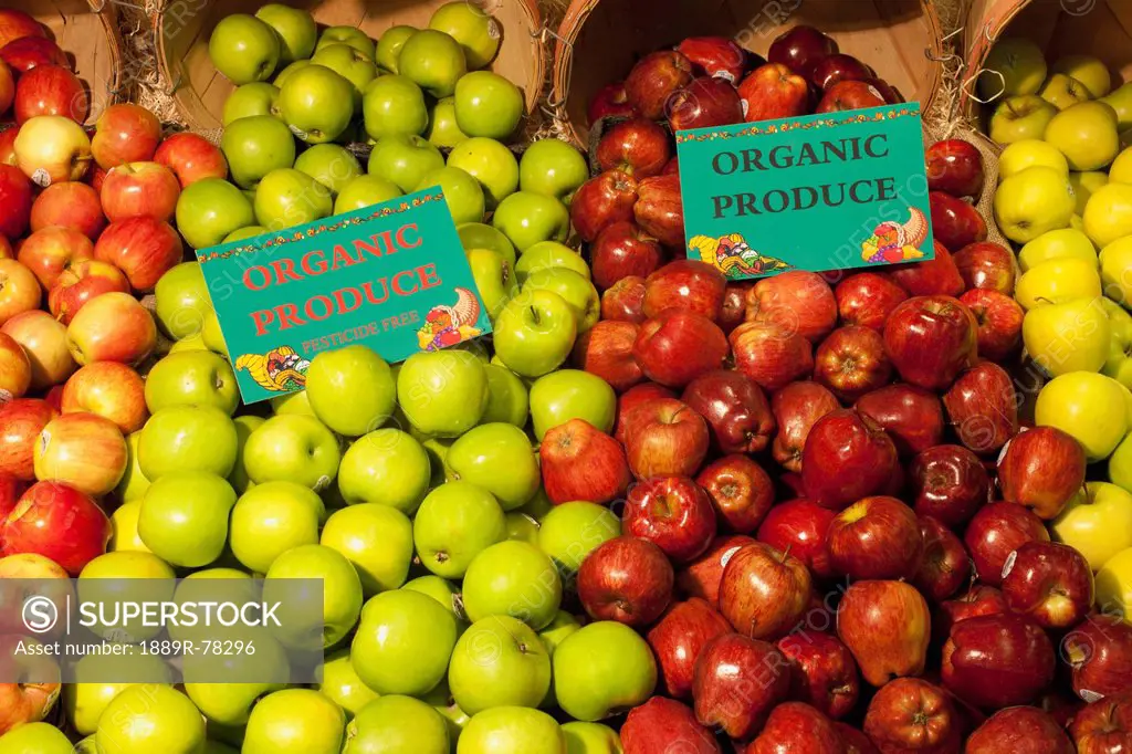 Red Green And Yellow Apples On Display With Signs Labeled Organic Produce, Waterloo Quebec Canada