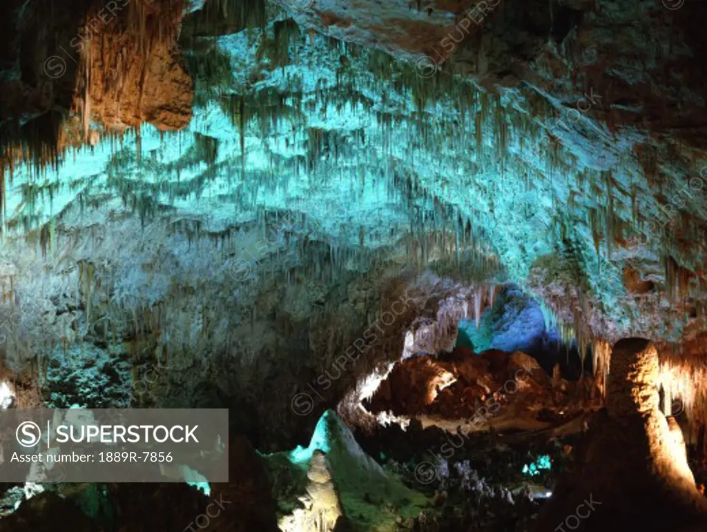 Stalagmites, Carlsbad Caverns National Park