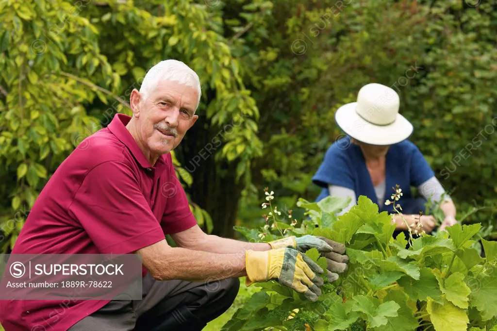 a man and woman gardening together, naas, county kildare, ireland