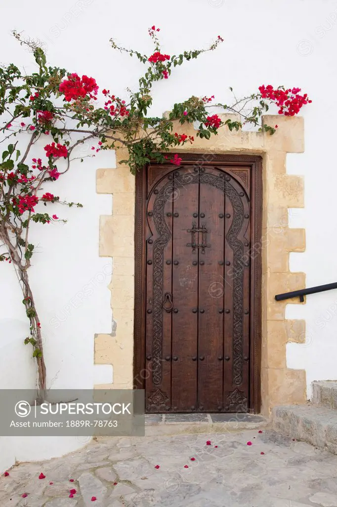 Wooden door on a white building with a blossoming vine growing on the wall, vejer de la frontera andalusia spain