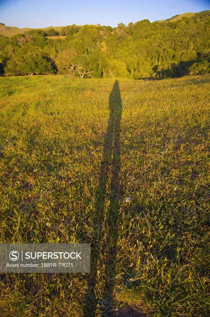 Shadow Of A Person On A Grassy Hill At Sunset, Petaluma California United States Of America