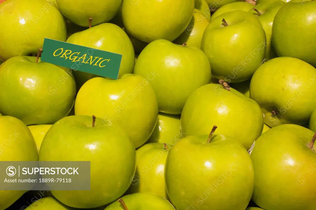 Granny Smith Apples With A Sign Labeled Organic, Waterloo Quebec Canada