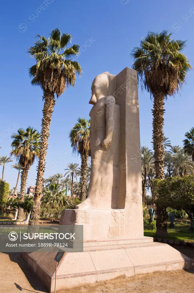 Statue And Palm Trees, Memphis Egypt